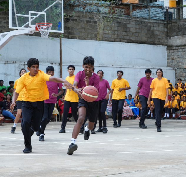 curricular-banner