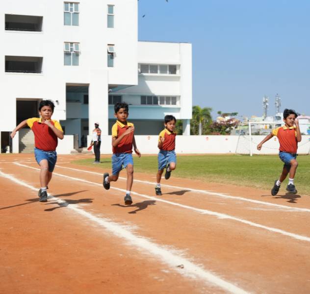 curricular-banner