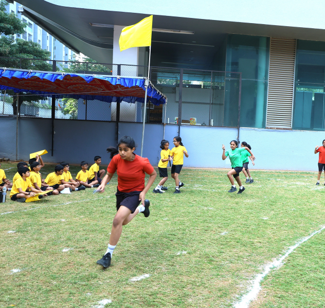 curricular-banner