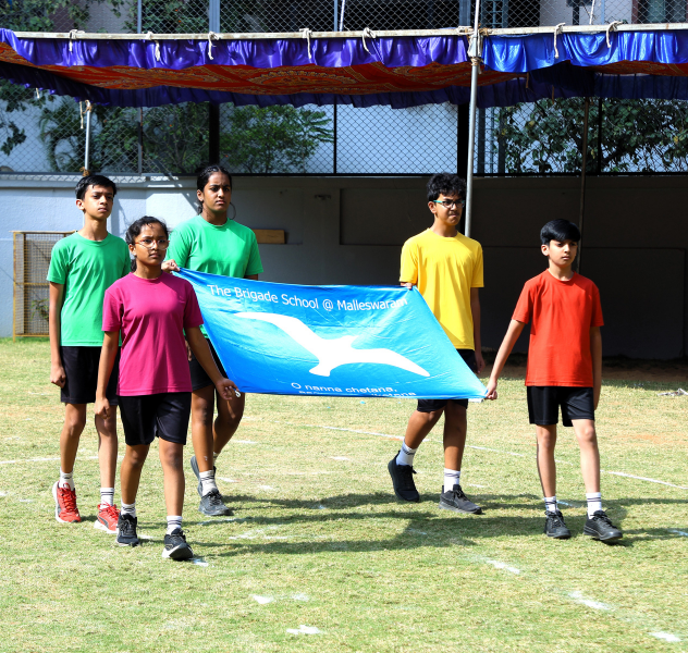 curricular-banner