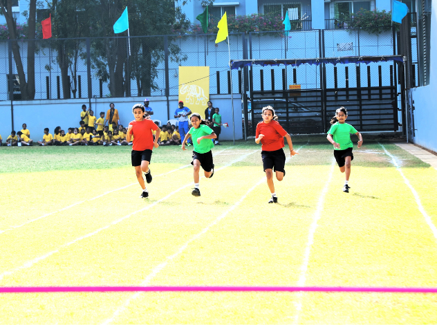 curricular-SPROTS
